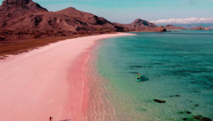 Mengenal Fakta Menarik Pantai Pink Labuan Bajo
