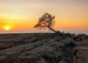 Keindahan Pantai Kuri Caddi Sulawesi Selatan